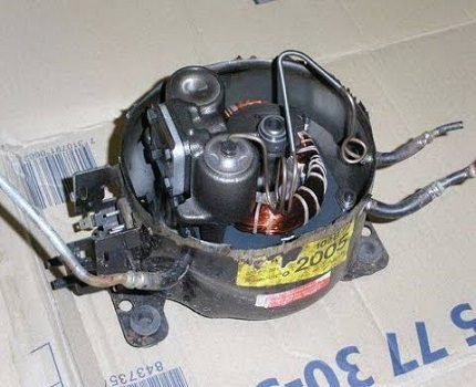 Refrigerator compressor