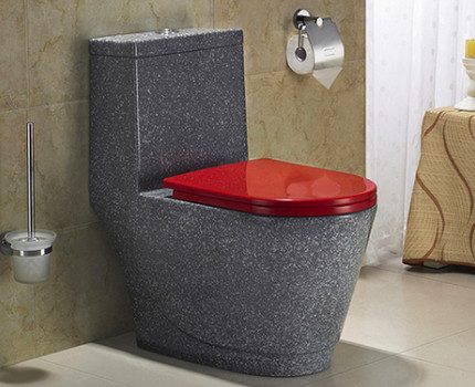 Bidet color toilet