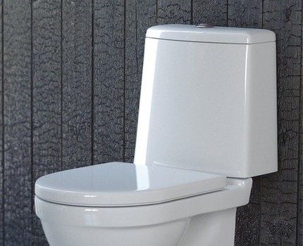 Nakasakay ang Toilet ng Sanita Luxe