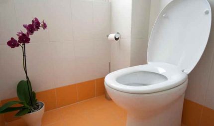 Duroplast toilet sæde