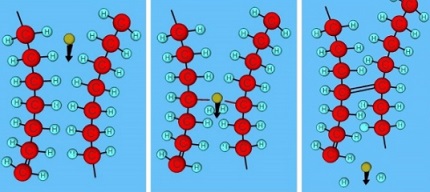 PEX-c structure