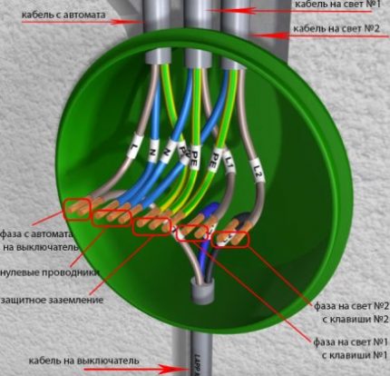 Cables de la caja de conexiones