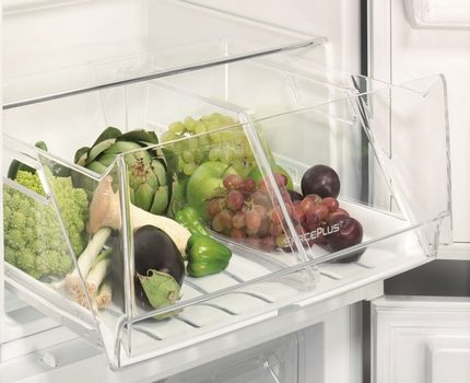 Contenedores ergonómicos en el refrigerador Elctrolux.