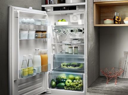 Compact fridge para sa summer cottage