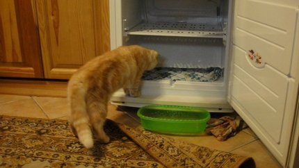 Necesita descongelar el refrigerador correctamente