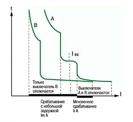 Selectivitat del temps