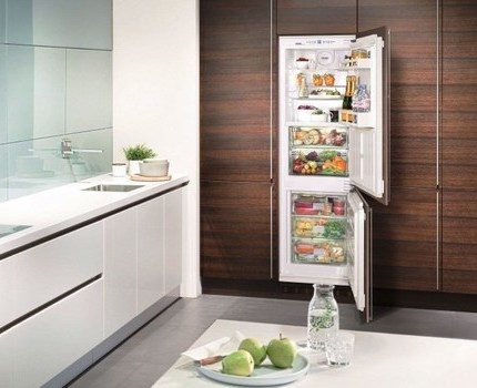 Built-in refrigerator