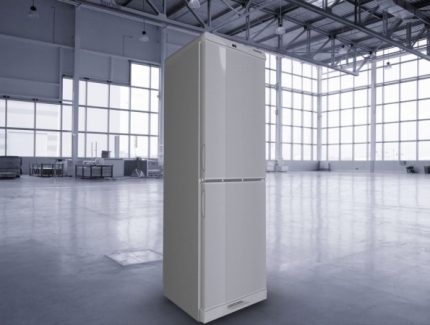 Appearance of a modern refrigerator Saratov