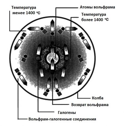 Skema kitaran halogen-tungsten