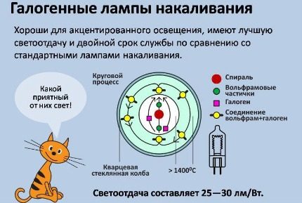 Features of halogen lamps