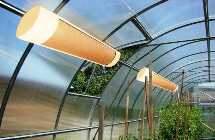 Infrared lamp in the greenhouse