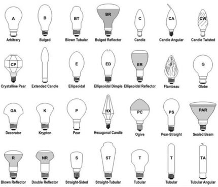 Bulb bulb