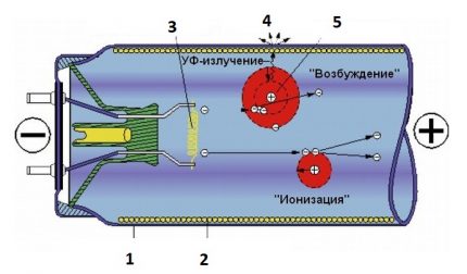 Estructura de la lámpara fluorescente