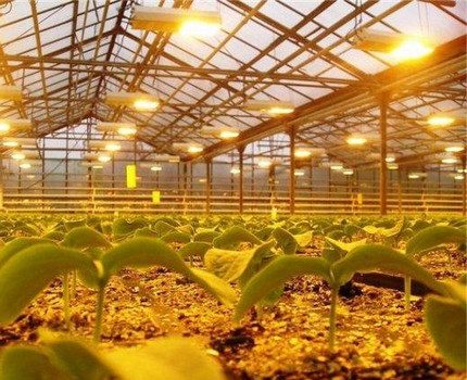 Lâmpadas de sódio para iluminação de estufas