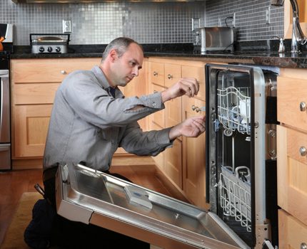 Master inspects the dishwasher