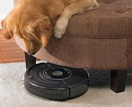 Carpet Robot Vacuum Cleaner