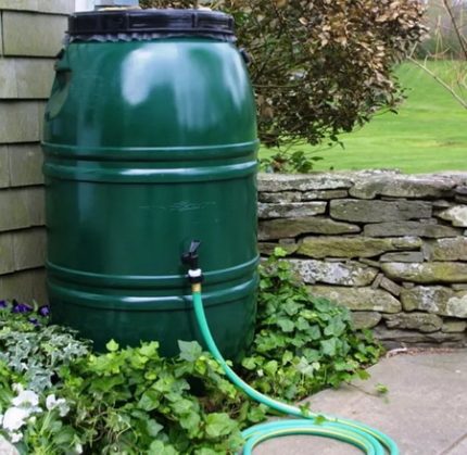 Groen vat voor water in de tuin