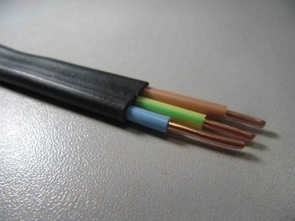 Electric wire PBPP