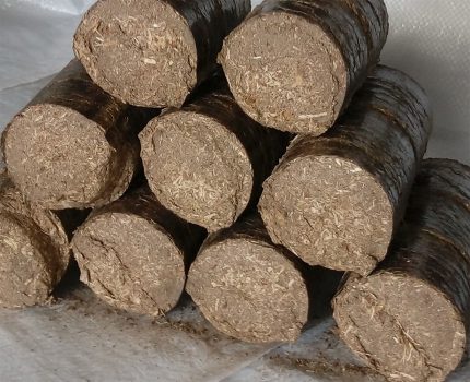 Round sawdust briquettes