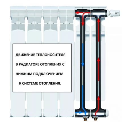 O dispositivo do radiador com um suprimento de refrigerante por baixo