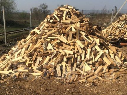 Bois de chauffage de différentes essences de bois