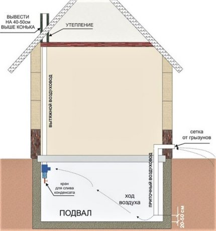 Kelder ventilatie schema