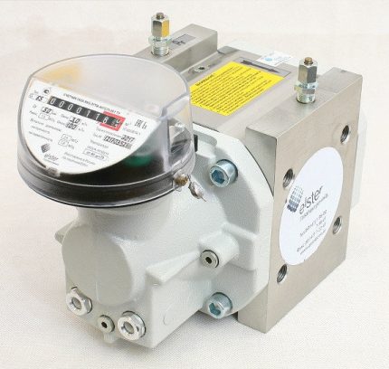 Rotary gas meter