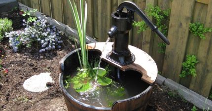 Mini pond with hand pump