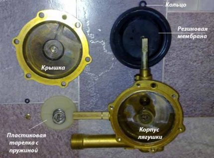 Membrana de columna de gas