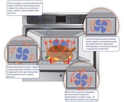 Het werkingsprincipe van de oven met convectie