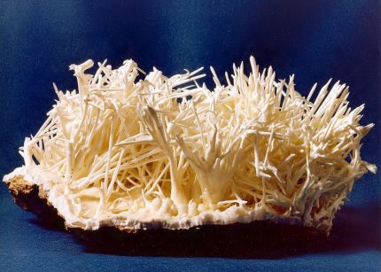 Aragonite crystals