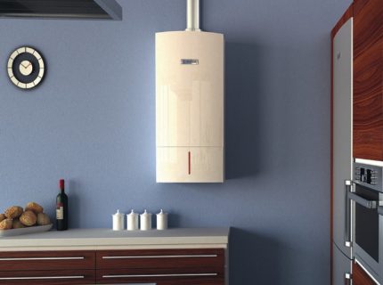 Wall mounted heating boiler