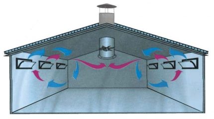 Ventilación del techo