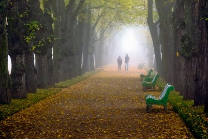 Andando depois da chuva