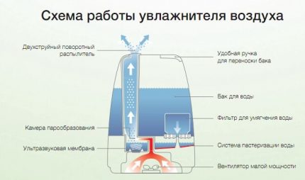 Принципът на работа на ултразвуковия овлажнител