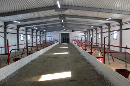 Ventilation naturelle des vaches