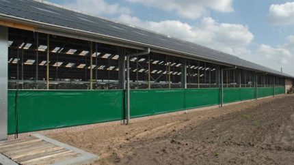 Stores de ventilation pour vaches