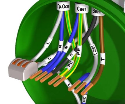 Maak verbinding met de lichtstap 2