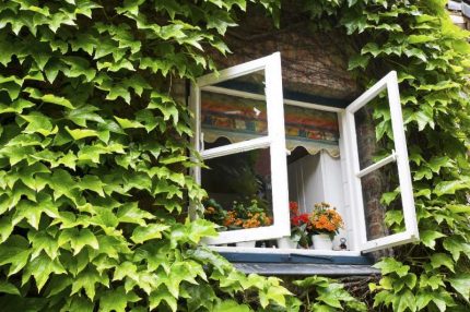 Natürliche Belüftung durch offenes Fenster