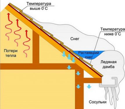 Ledo uogienės susidarymo schema