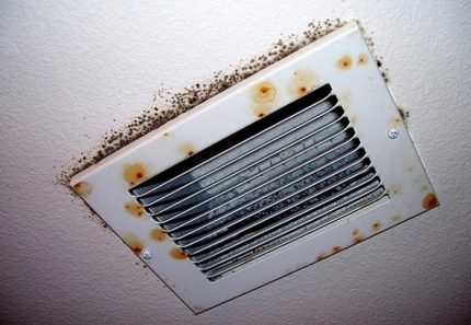 Fungo na ventilação