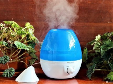 Humidificateur pour fleurs d'intérieur