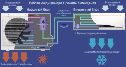 Conder-Schema