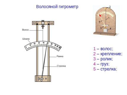 Hair Hygrometer Device