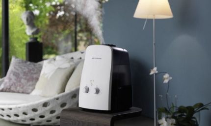 Steam humidifier