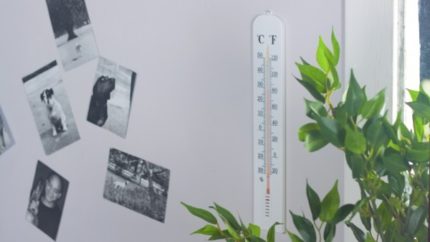 Wandthermometer