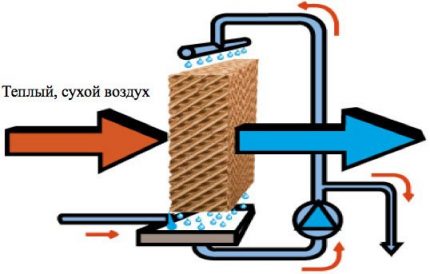 Принципът на работа на изпарителя на базата на клетъчни касети