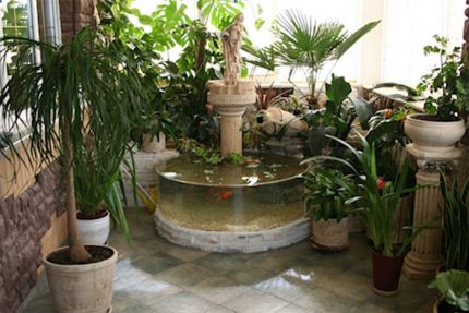 Fuentes y plantas de interior.