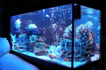 Aquarium met achtergrondverlichting voor de slaapkamer